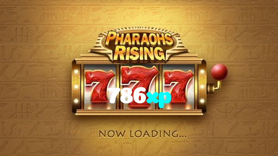 available types of 786xp bet including pre-match live express and system bets